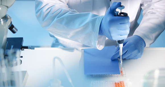 著名學(xué)者訪(fǎng)問(wèn)重點(diǎn)實(shí)驗(yàn)室并作系列學(xué)術(shù)報(bào)告