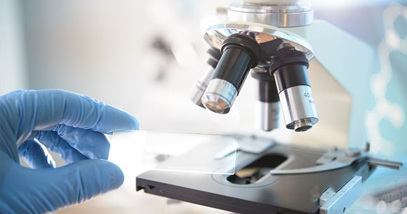 邵路課題組實(shí)現(xiàn)仿植物根系穿插分子鏈結(jié)構(gòu)CO2捕集膜